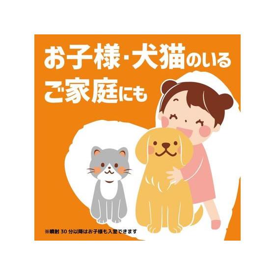 金鳥 コバエムエンダー 80プッシュ スプレータイプ 殺虫剤 殺虫 防虫剤 |  | 04