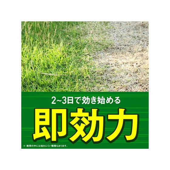 アース製薬 アースカマイラズ 草消滅 4.5L 忌避剤 除草剤 殺虫剤 忌避剤 園芸 ガーデニング｜cocodecow｜03