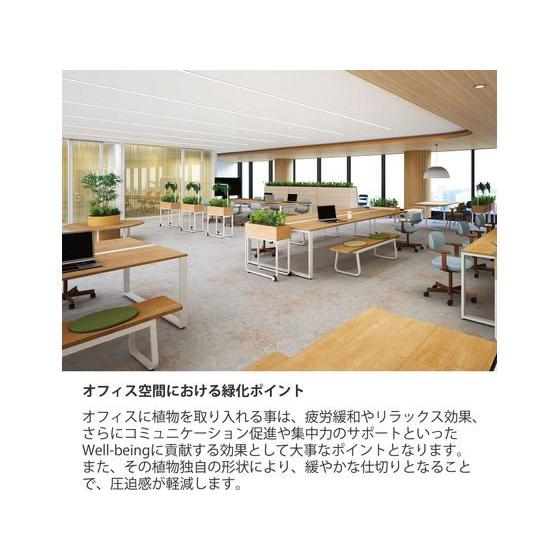 【メーカー直送】イトーキ フロウラウンジ プラントボックス スタンダード ステンレストレー付 ホワイト【代引不可】【組立・設置・送料無料】