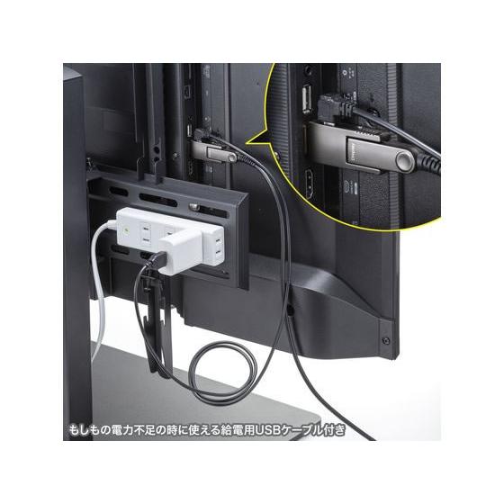 SANWA SUPPLY（サンワサプライ） 【お取り寄せ】サンワサプライ 光