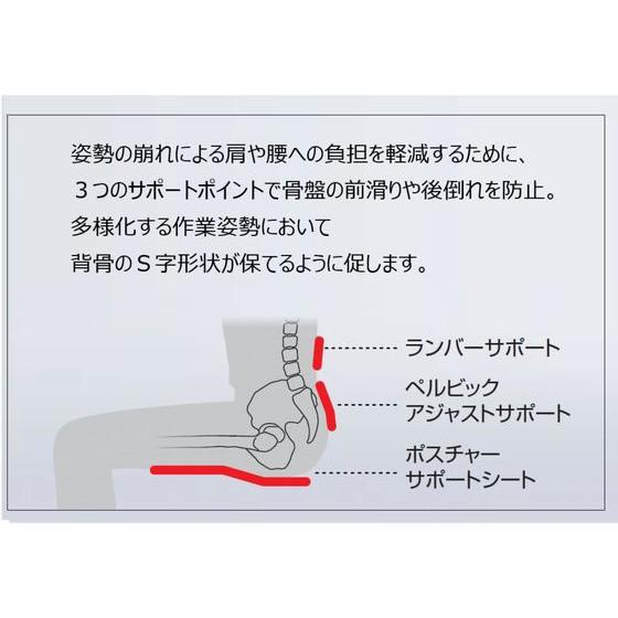 チェア デュオラ2 ホワイト脚 メッシュ ソフトベージュ【代引不可】【組立・設置・送料無料】 【パンナ】
