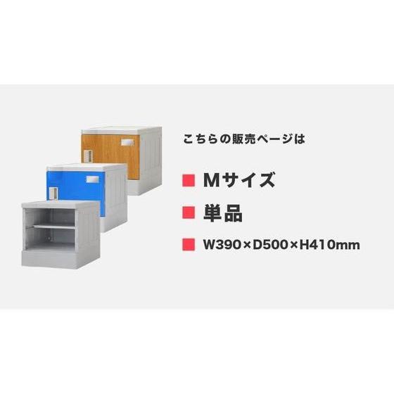 【メーカー直送】Netforce プラスチックロッカーM 1人用 鍵なし グリーン【代引不可】【お客様組立】ロッカー キャビネット オフィス家具の画像