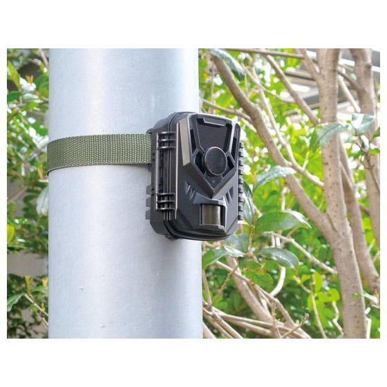 キャロットシステムズ 乾電池センサーカメラ MOVE SHOT AT-1 防犯