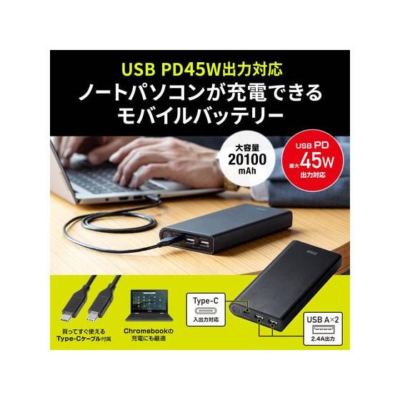 SANWA SUPPLY（サンワサプライ） 【お取り寄せ】サンワサプライ USB PD