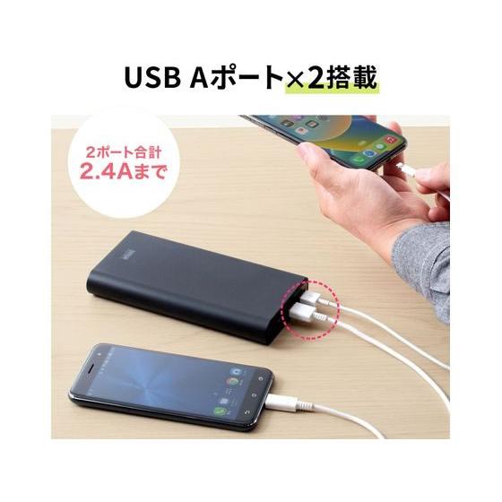 SANWA SUPPLY（サンワサプライ） 【お取り寄せ】サンワサプライ USB PD