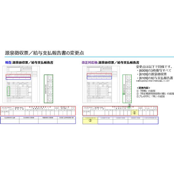 【メーカー直送】OBC 単票源泉徴収票 A4ヨコ 令和7年分 100枚 6109-A25【代引不可】源泉徴収 給与関係 法令様式 ビジネスフォーム ノートの画像