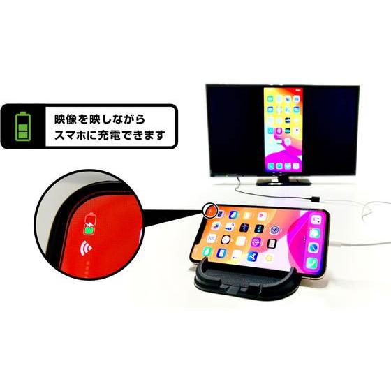【お取り寄せ】カシムラ HDMI変換ケーブル iPhone専用 KD224 配線｜cocodecow｜04