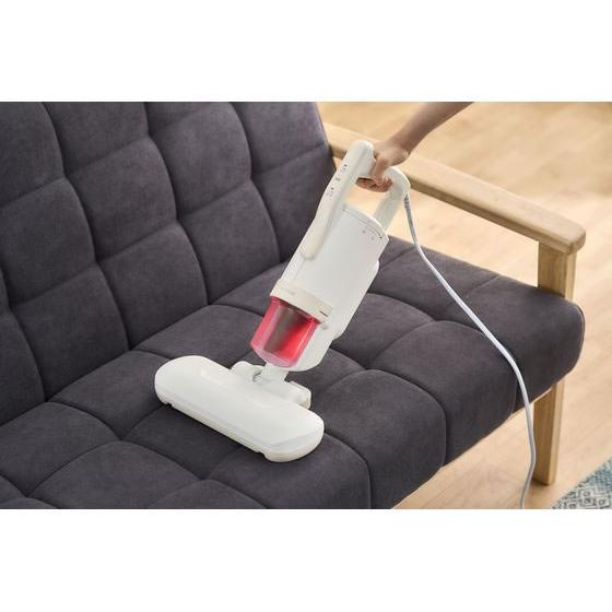 IRIS OHYAMA（アイリスオーヤマ） 【お取り寄せ】アイリスオーヤマ