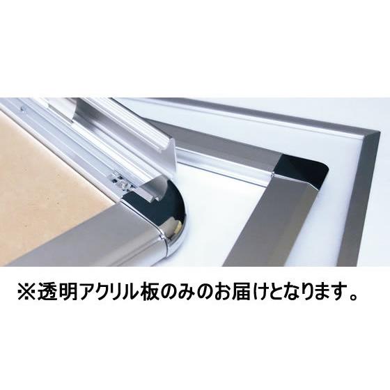 【メーカー直送】プラチナ アケパネ 透明アクリル板 A0判【代引不可】ポスターフレーム ポスターパネル Ａ０ ポップ 吊り下げ ＰＯＰ 掲示
