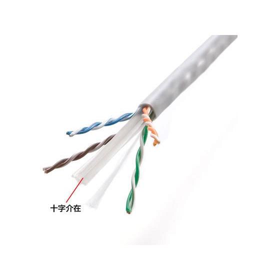SANWA SUPPLY（サンワサプライ） 【お取り寄せ】サンワサプライ CAT6