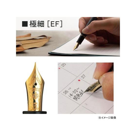 セーラー万年筆 【お取り寄せ】セーラー 万年筆 プロフィット