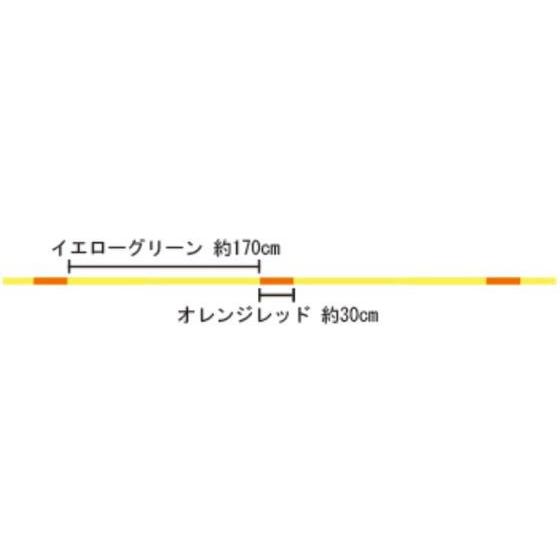 【お取り寄せ】サンライン 磯スペシャル Gパール HG 150m 2号｜cocodecow｜05