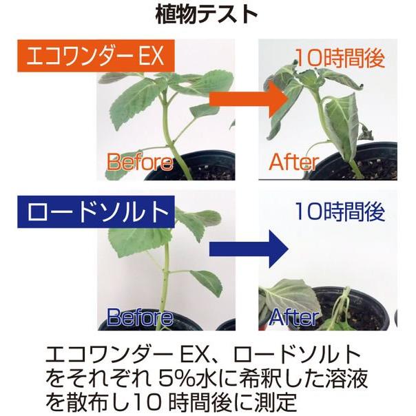【お取り寄せ】高森コーキ 凍結防止融雪剤 エコワンダーEX 10kg×2袋 ECO-10 雪かき 除雪作業 現場 安全 作業 送料無料 |  | 05