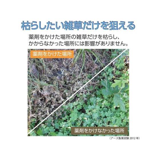 【お取り寄せ】アース製薬 アースガーデン おうちの草コロリ つめかえ 850ml 殺虫剤 忌避剤 除草剤 園芸 ガーデニング | アースガーデン | 02