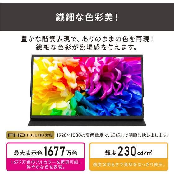 IRIS OHYAMA（アイリスオーヤマ） ポータブルモニター 15.6inch DP