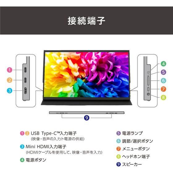 IRIS OHYAMA（アイリスオーヤマ） ポータブルモニター 15.6inch DP