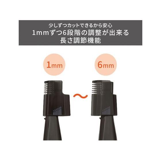お取り寄せ】テスコム フェイスシェーバー メンズ 乾電池式 1台4役