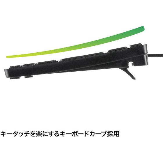 【お取り寄せ】サンワサプライ USBスリムキーボード(テンキーなし・ブラック) SKB-SL18BKN キーボード マウス 入力機器 パソコン 家電 |  | 05