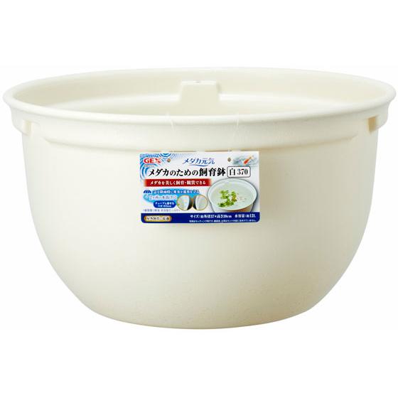 独創的 お取り寄せ ジェックス メダカ元気メダカのための飼育鉢白370 Shipsctc Org