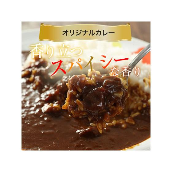 【メーカー直送】松屋フーズ ロースかつカレー10食セット(ロースかつ10 オリジナルカレー10)【代引不可】 肉類 加工品 お取り寄せグルメ｜cocodecow｜02