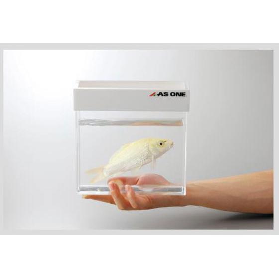 アズワン観察用アクリル水槽平型（300mm×80mm） アズワン 観察用アクリル水槽 平型(300×80) (2-724-02) : えい