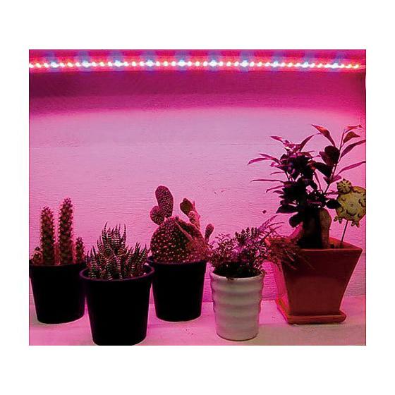 【お取り寄せ】アズワン/植物育成LEDライト補光用LED 栽培キット 分析 検査 研究用