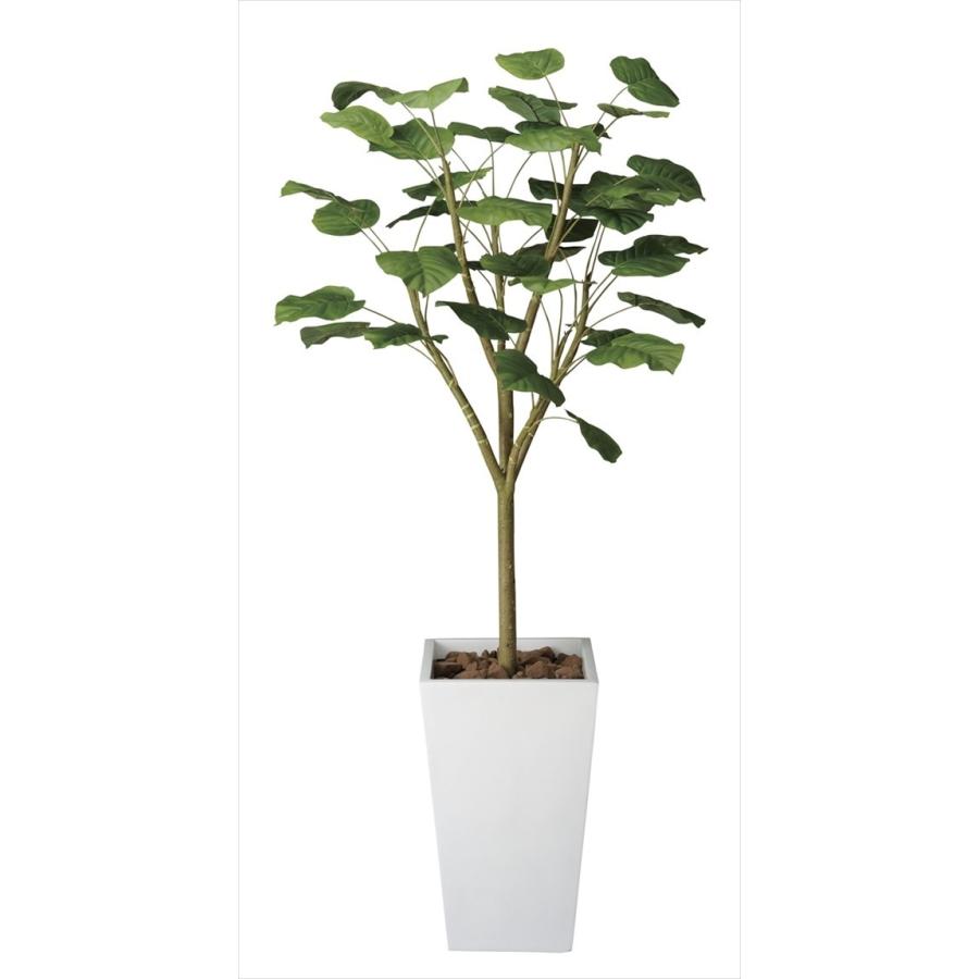 最高の上品品質 の 118c650 光触媒観葉植物 造花 送料無料アートグリーン 光の楽園 プチフルール ウンベラータw1 8 人工観葉 フェイクグリーン 送料無料アートグリーン 光触媒 クリスマスプレゼントに 人工観葉植物 光触媒 人工観葉 フェイクグリーン
