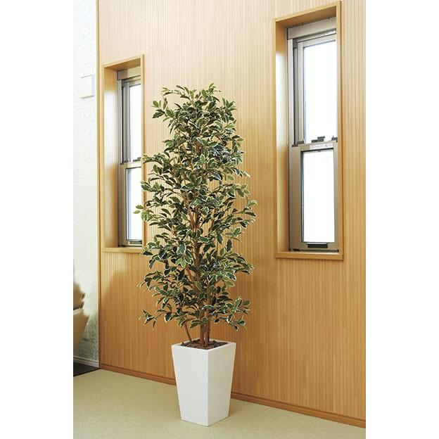 クリスマスプレゼントに 人工観葉植物 送料無料 ガジュマルタワー 122b550ならショッピング ランキングや口コミも豊富なネット通販 更にお得なpaypay残高も スマホアプリも充実で毎日どこからでも気になる商品をその場でお求めいただけます 花 ガーデニング