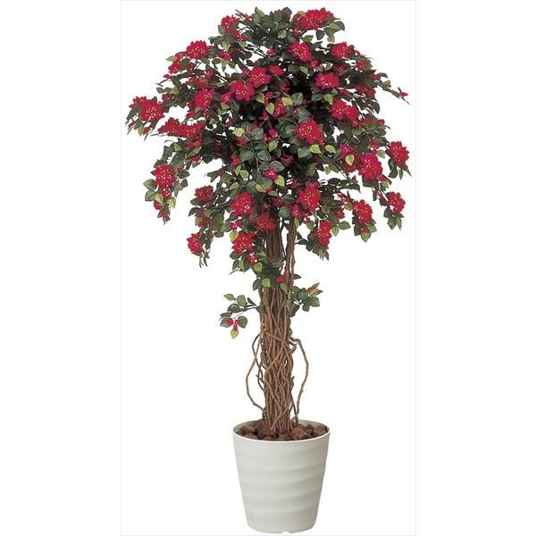 即日出荷 の ブーゲンビリア1 6 光触媒 人工観葉植物 クリスマスプレゼントに 光触媒観葉植物 造花 ブーゲンビリア1 6 136c550ならショッピング ランキングや口コミも豊富なネット通販 更にお得なpaypay残高も スマホアプリも充実で毎日どこからでも気になる商品を
