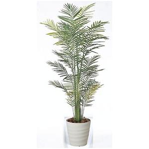 最新人気 クリスマスプレゼントに 送料無料 フェイクグリーン 人工観葉植物 光触媒 トロピカルアレカパーム1 8 141a380 光触媒観葉植物 造花 プチフルール 通販 Yahoo ショッピング 新着商品 Jeannesauve Org