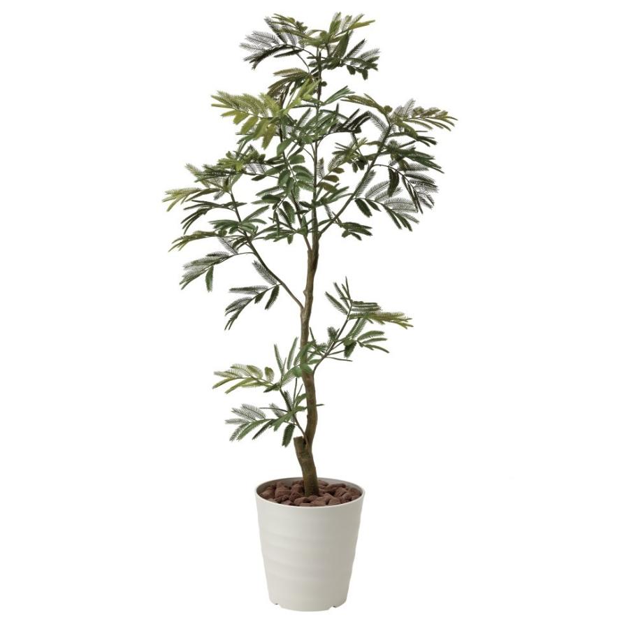 代引き手数料無料 クリスマスプレゼントに 送料無料アートグリーン 人工観葉植物 光の楽園 光触媒 ねむの木1 55 419a280 光触媒観葉植物 造花 プチフルール 通販 Yahoo ショッピング 最新の激安 Www Jolimmo Ch