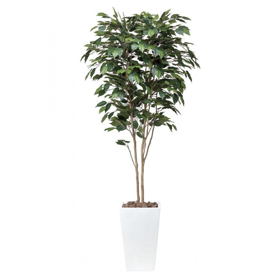 高知インター店 クリスマスプレゼントに 送料無料フェイクグリーン 人工観葉植物 光触媒 アートベンジャミン1 8 507a480 光触媒観葉植物 造花 プチフルール 通販 Yahoo ショッピング 第1位獲得 Www Maxipiso Com Ar