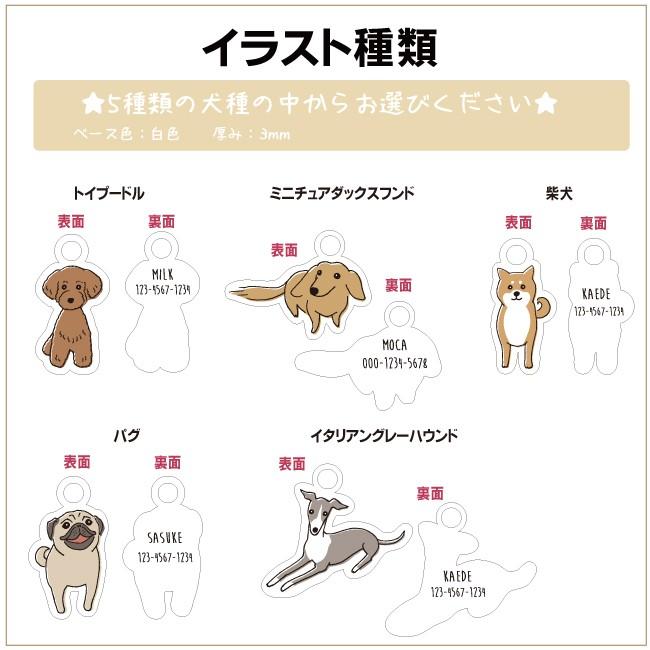 迷子札 オリジナル おしゃれ 軽い かわいい 手書き風 チャーム 名前入れ 犬 ペット イラスト アクリル Cocoful 送料無料 Pelv008 Cocofulview 通販 Yahoo ショッピング