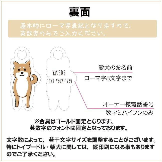 迷子札 オリジナル おしゃれ 軽い かわいい 手書き風 チャーム 名前入れ 犬 ペット イラスト アクリル 送料無料 Pelv008 Cocofulview 通販 Yahoo ショッピング