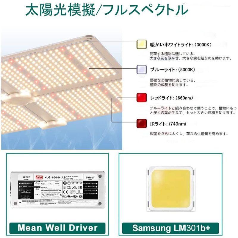 国内店舗正規品 業界初 植物育成ライト 令和3年最新 屋外照明 Aokyoung Lm301bライトチップ ガーデンライト 庭園灯 1000w Lm301bライトチップ Samsung Led光合成ライト フルス 公式ストア限定