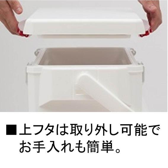 ダイワ(Daiwa) クーラーボックス 釣り クールラインα VS1500 ゴールド 釣り Daiwa クーラーボックス クールラインα VS1500