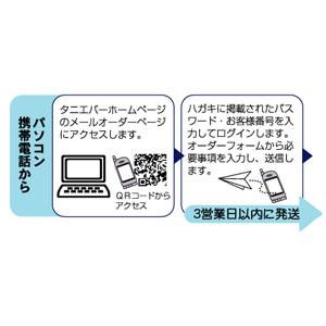 ネームペン 名入れ サンビー スワロフスキー スタンペンG jr ピンク メールパック 9ミリ浸透ネーム印+黒ボールペン TSK-64463 |  | 02