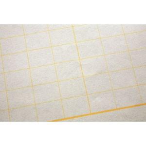 マスヤ（満寿屋） クリーム紙 原稿用紙 B4サイズ 400字詰め 10個セット K2 |  | 02