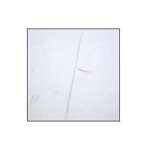 ノート A5 マスヤ（満寿屋） 9ミリグレー罫 A5判 ノート 160ページ 10冊セット N2 |  | 04