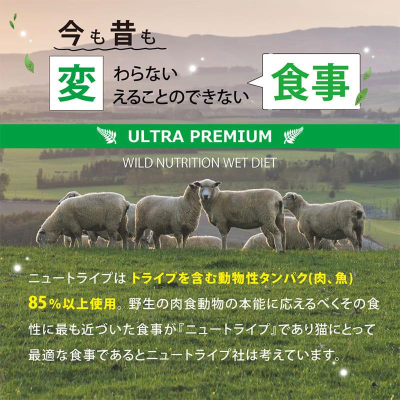 【×24個】キャットフード 総合栄養食 グレインフリー ニュートライプ PURE CAT チキン＆グリーントライプ 95g ウェットフード 小分け 穀物不使用 シニア