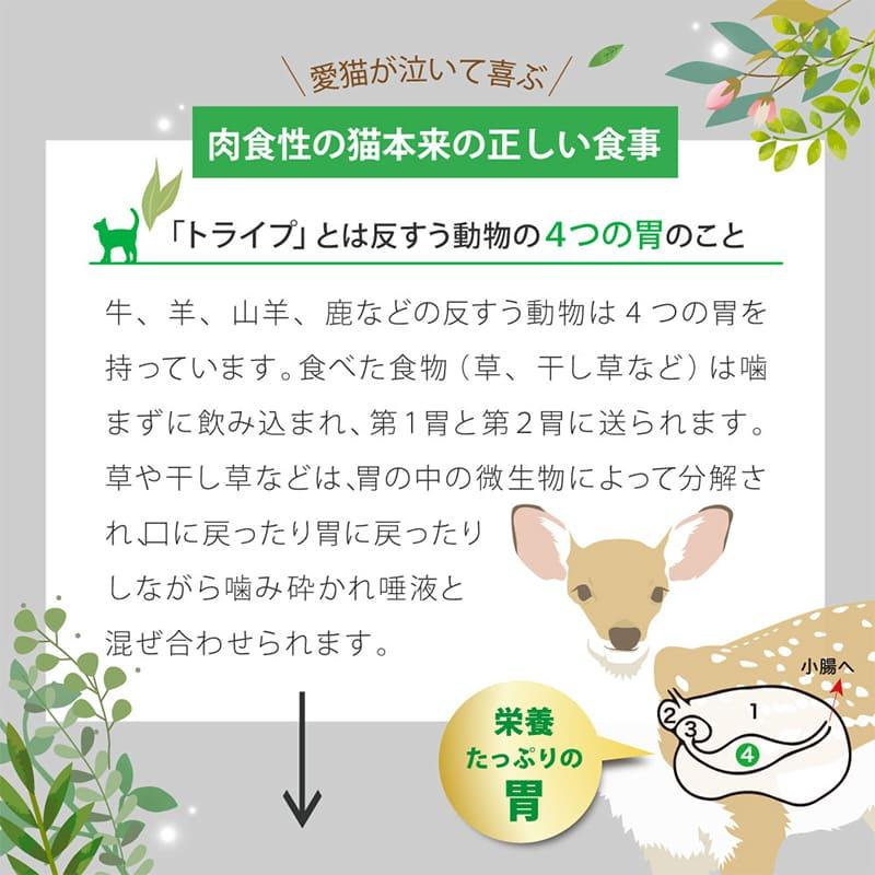 【×24個】キャットフード 総合栄養食 グレインフリー ニュートライプ PURE CAT チキン＆グリーントライプ 95g ウェットフード 小分け 穀物不使用 シニア