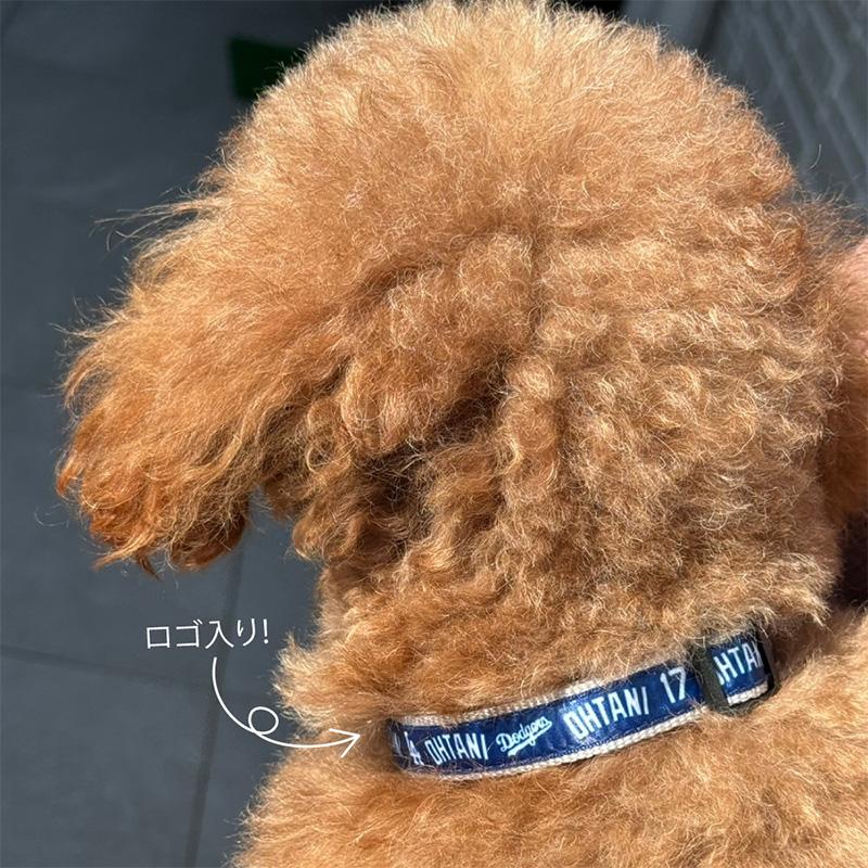 【リードとカラーセット】MLB公認 ドジャース 大谷翔平 リード 首輪 犬 L 犬用品 ペットグッズ 大谷 お得セット おおたにの画像