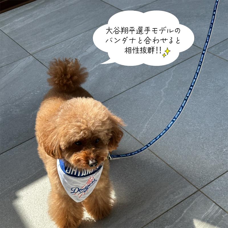 【リードとカラーセット】MLB公認 ドジャース 大谷翔平 リード 首輪 犬 L 犬用品 ペットグッズ 大谷 お得セット おおたにの画像