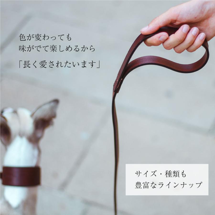 VIP GA 18/200 リード 犬 リード 頑丈 イヌ リード ferplast | ferplast | 03