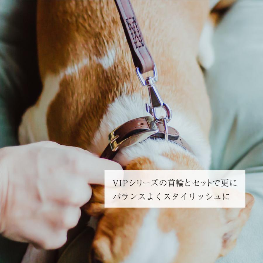 VIP GA 18/200 リード 犬 リード 頑丈 イヌ リード ferplast | ferplast | 04