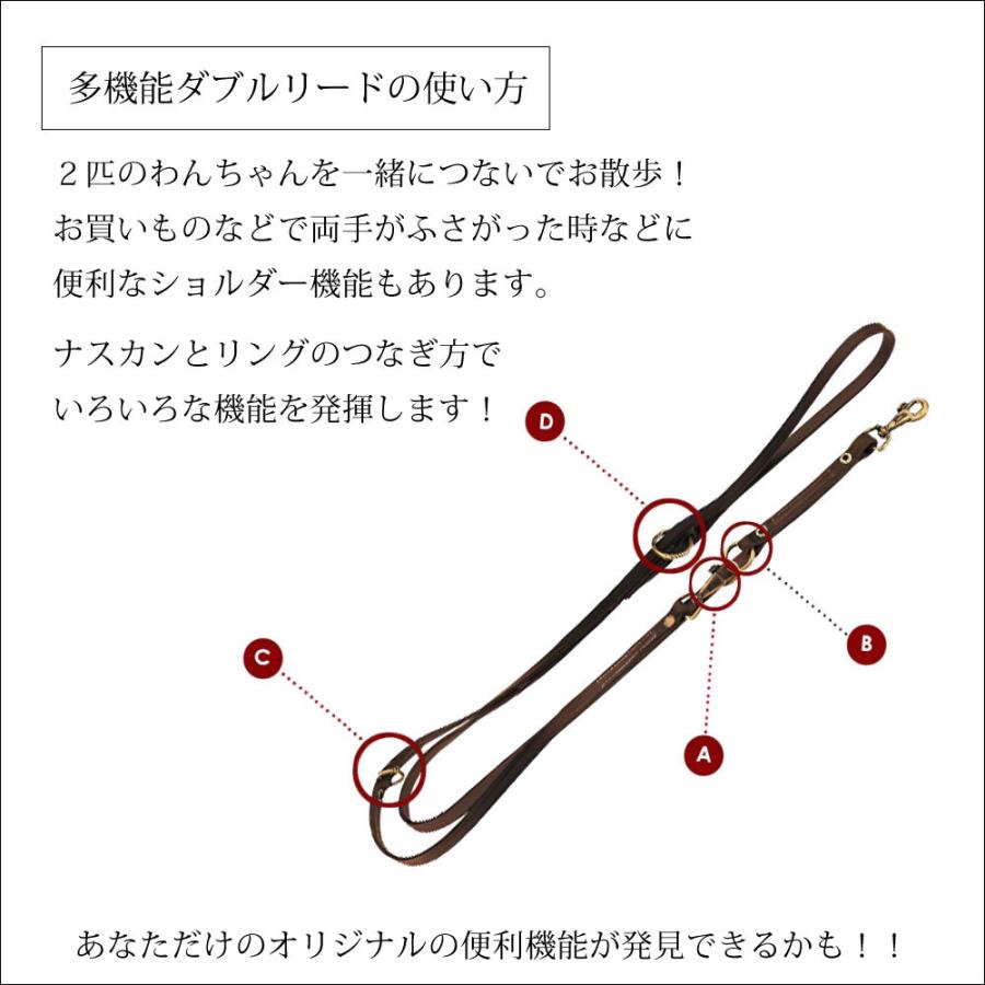 VIP GA 18/200 リード 犬 リード 頑丈 イヌ リード ferplast | ferplast | 06