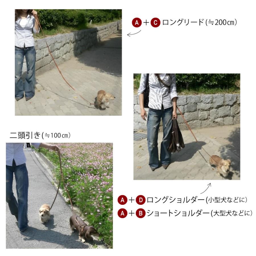 VIP GA 18/200 リード 犬 リード 頑丈 イヌ リード ferplast | ferplast | 07