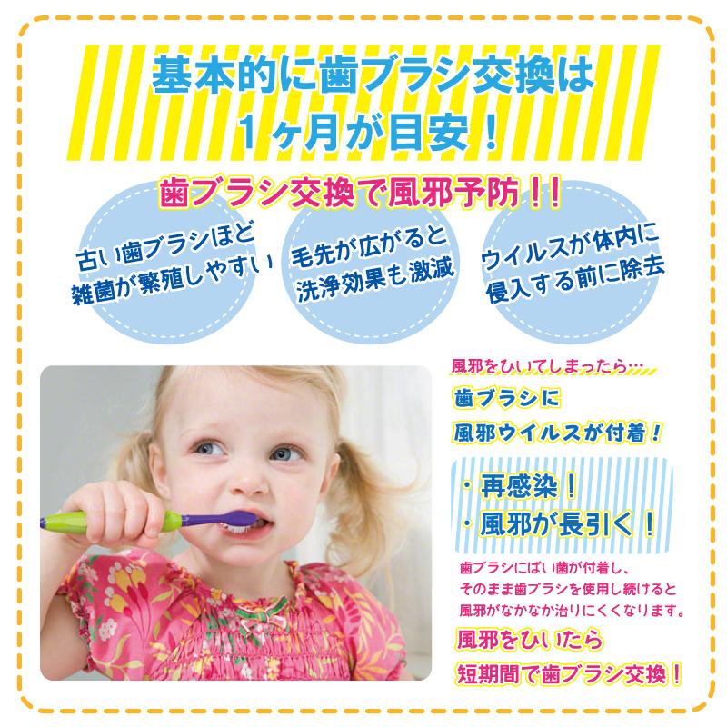 歯ブラシ 子供用 まとめ買い 12本セット キャップ付き ネコ 吸盤付き