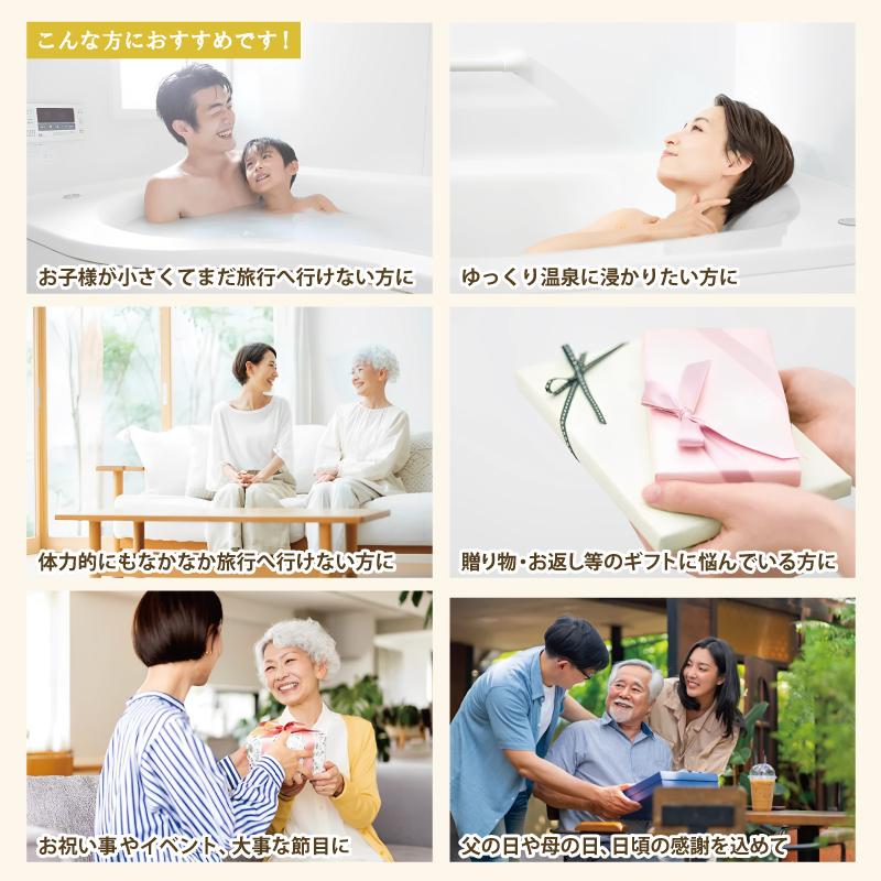 入浴剤 ギフト 個包装 [ 温泉 名湯百景 30包入セット ] 日本の名湯