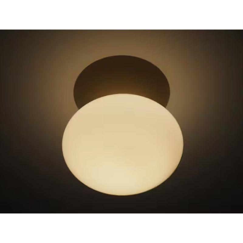 インターフォルム 照明 Mois モワ シーリングライト 白熱電球 LED電球 電球なし おしゃれ お洒落 照明器具 取り付け ガラス リビング ダイニング 北欧 玄関 天井_13